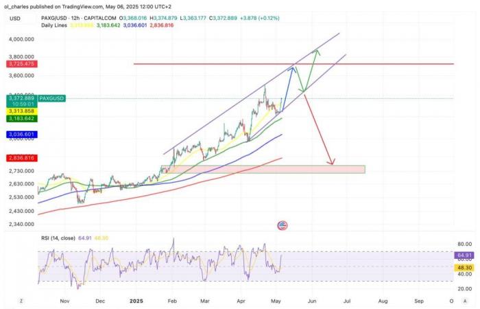 Should we buy the crypto paxg?