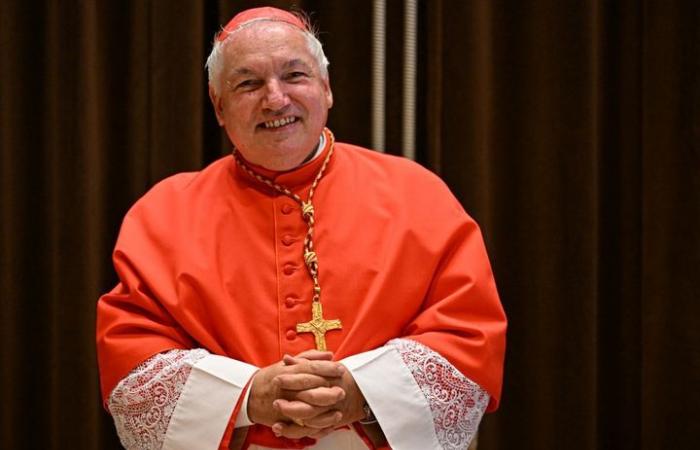 Who are the main cardinals expected to succeed François?