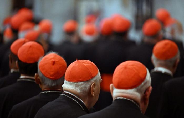 Before the conclave, the cardinals call for peace in Ukraine and the Middle East