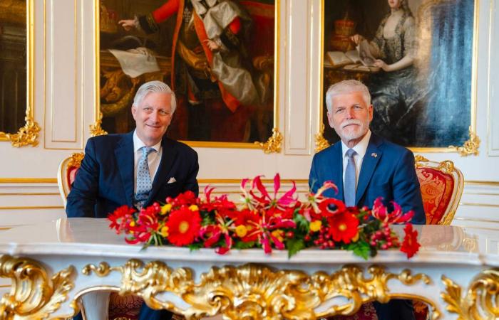 King Philippe receives the necklace from the Order of the White Lion of the President of the Czech Republic