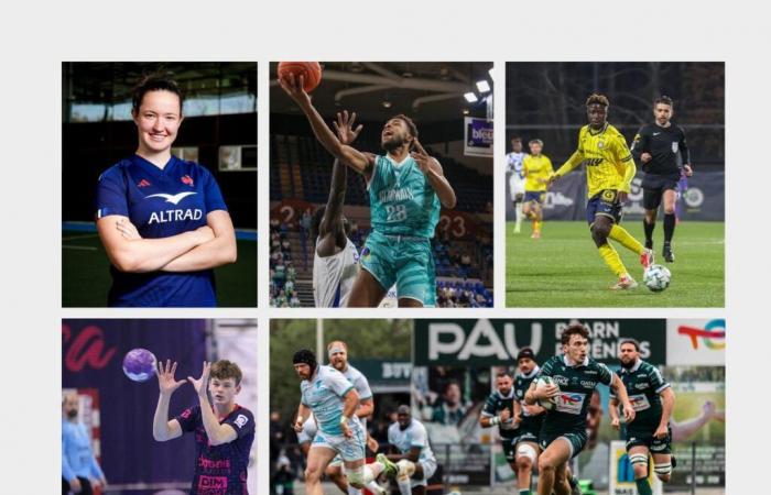 Rugby, football, basketball and handball: to meet the five promises of Sport Palois