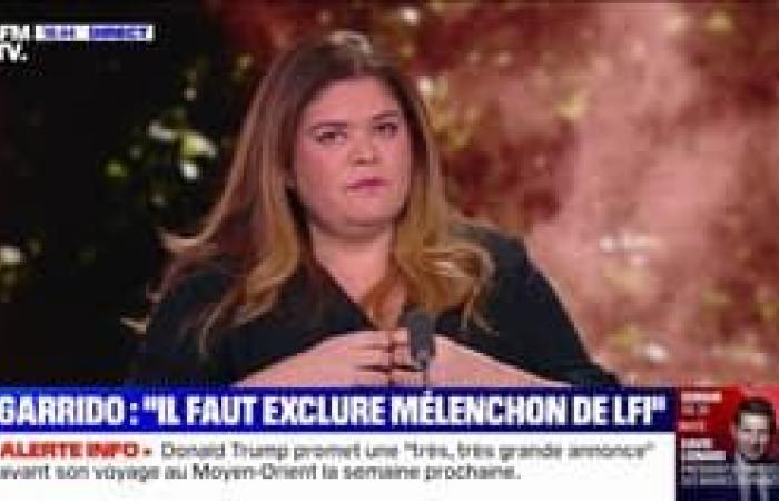 “If rebellious France arrives tomorrow in power, the functioning of French society will be much more democratic than under Emmanuel Macron”