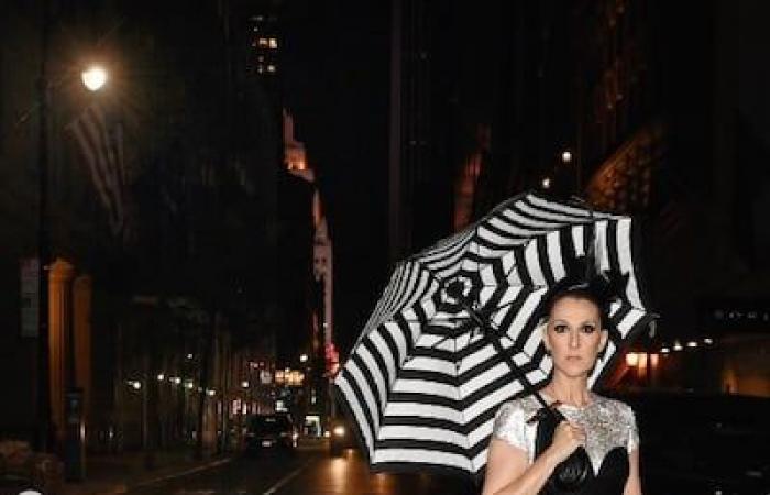 Souvenir photos: Céline Dion remembers her past looks of the Met Gala on Instagram