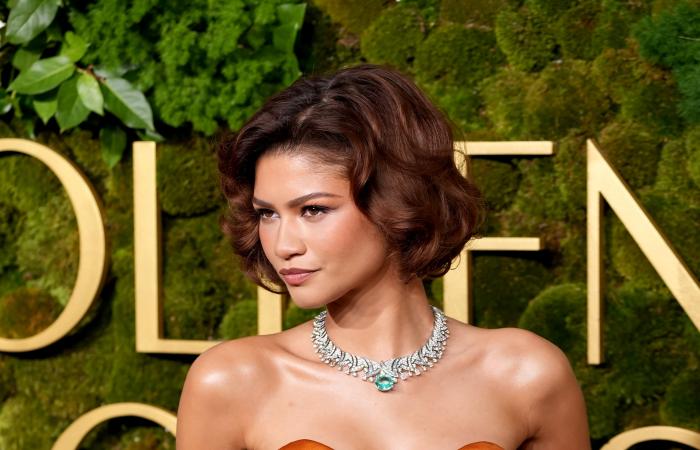 Zendaya’s Met Gala 2025 Red Carpet Look Photos and Suit, Up Close