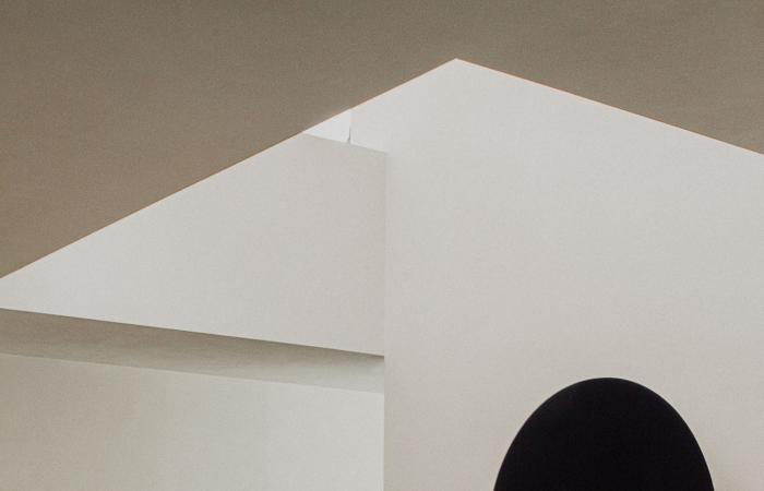 Near Antwerp, an architect -designed house for art