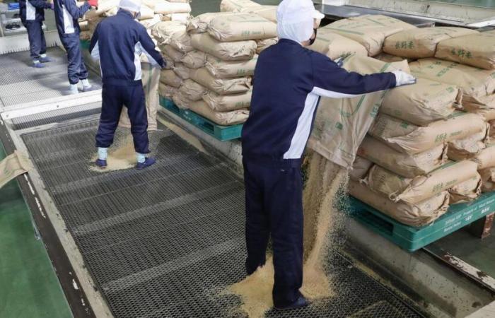 Rice prices do not drop in Japan, despite the opening of government reserves