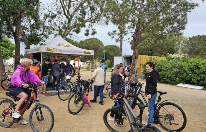 Bike: workshops and ride in Corneilla-Del-Vercol