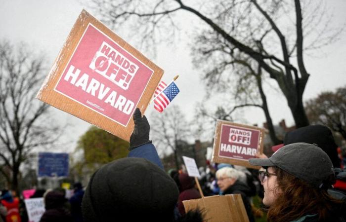 Harvard will no longer receive federal state subsidies, announces the Trump administration