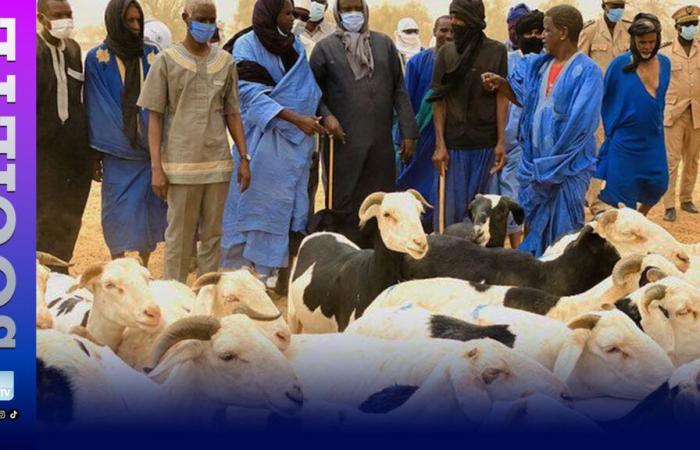 The President of the National Council of the Maison des Éreux du Senegal, Ismaïla Sow, recalls the concerns of the sector