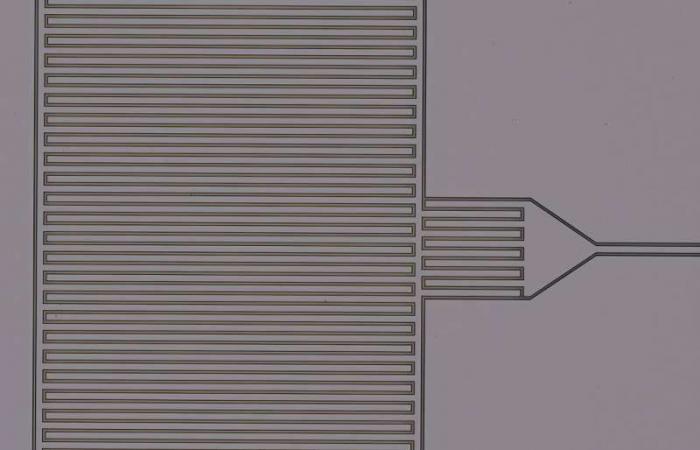 The new optical microwave transducer uses rare earth ions for effective conversion of the quantum signal