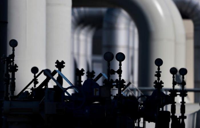 The EU will propose to ban imports of Russian gas by the end of 2027 -project of document – 06/05/2025 at 14:23