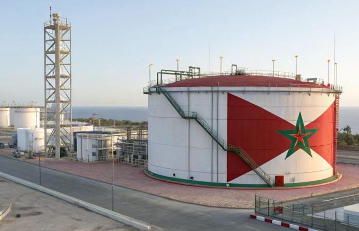 Why Nador West Med will become a gas hub
