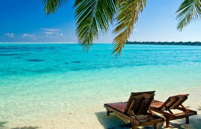 Canada, a country invited to Fitcuba 2026