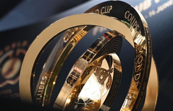 TF1 will broadcast a PSG match and the final