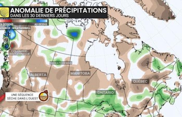 A disturbing phenomenon in spring grows in Canada