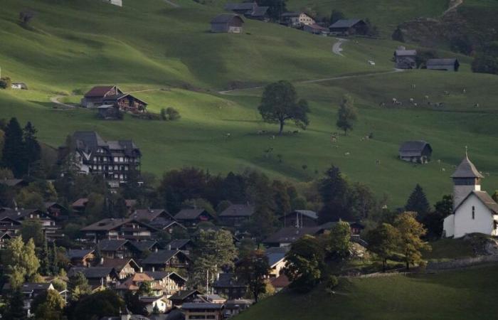 An original project combining agriculture, ecology and tourism divides Château -d’Ex – Rts.ch