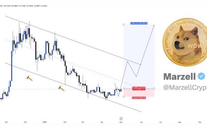 The bullish reversal targets an increase of 175%.