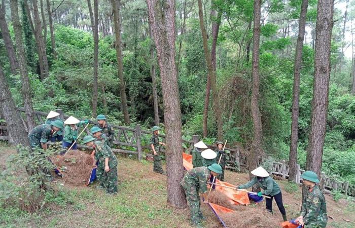 Deployment of forest fire prevention on archaeological sites