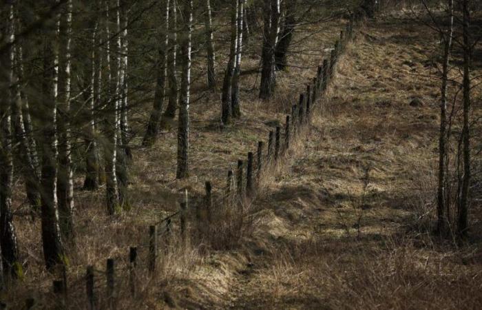 Lithuania will strengthen its border with Russia to “block and slow” “hostile” actions