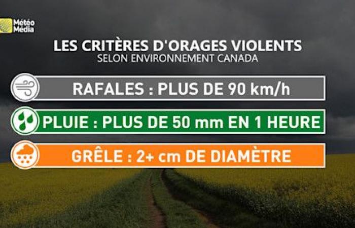 Risk of thunderstorms Tuesday in Quebec: here is what to expect