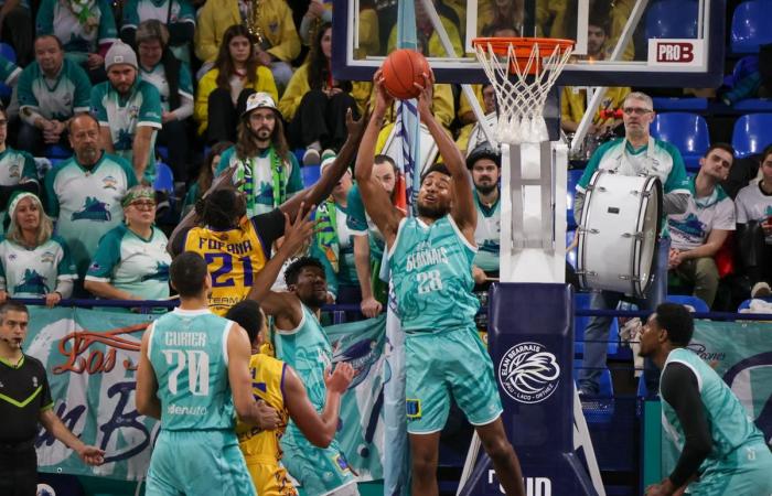 Rugby, football, basketball and handball: to meet the five promises of Sport Palois