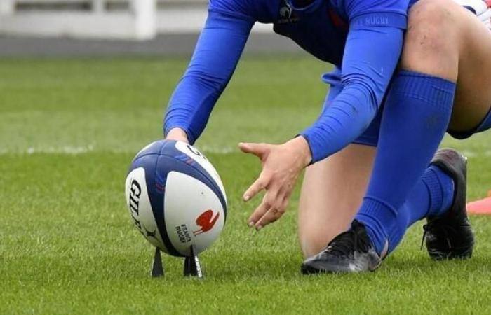 Rugby. The final of the women’s championship broadcast on Canal+ and France 4. Sport