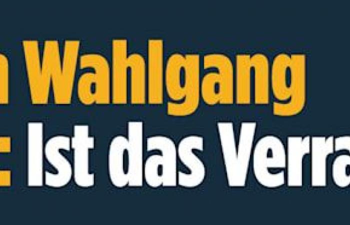 CDU boss falls 1. policy