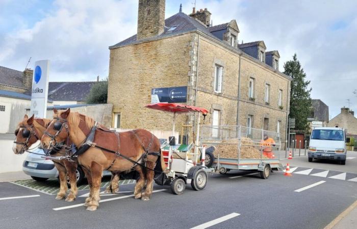 This town is in the viewfinder of antispecists for its use … of draft horses