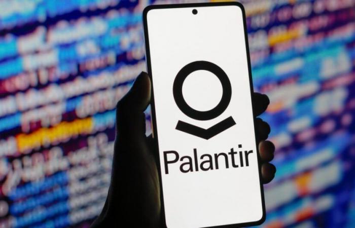 Palant, darling of AI on the stock market, falls heavily after its results
