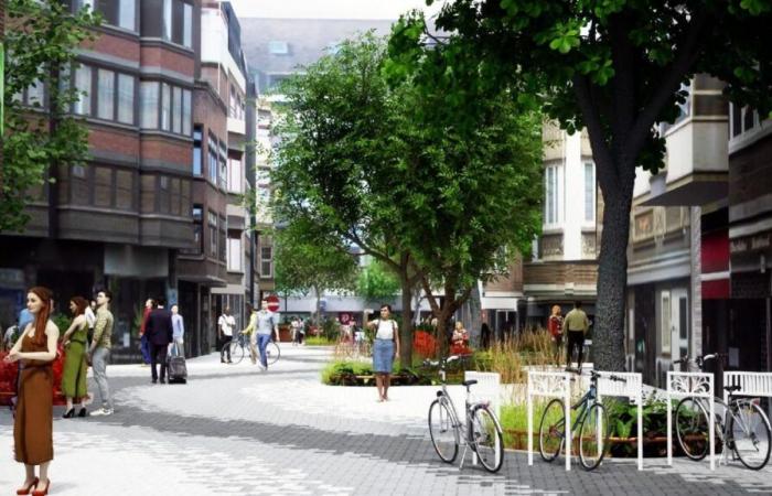 After the preliminary developments, the work of the real ‘pedestrian of Namur begins