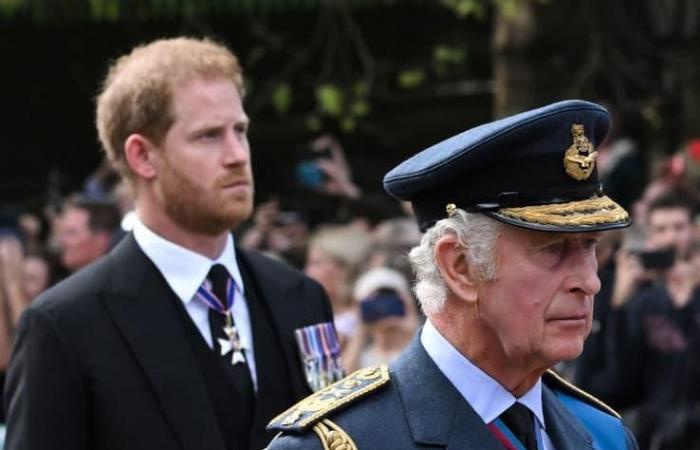 Is security really at the heart of its blurring with the royal family?