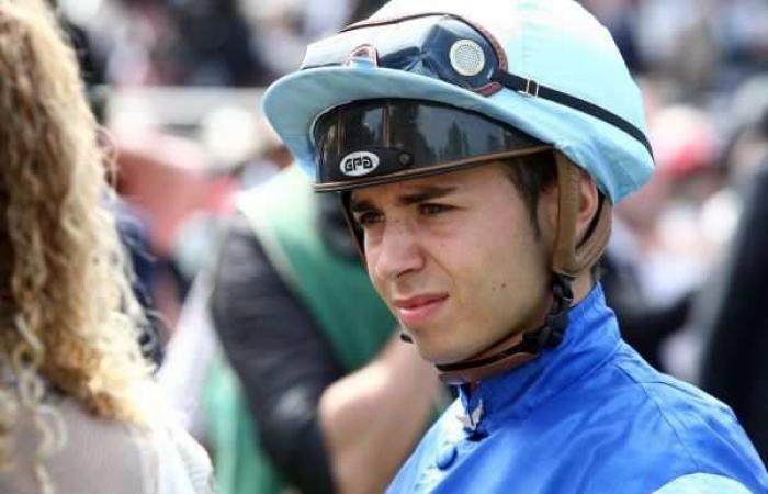 Free prognosis for the price of the mother Marie