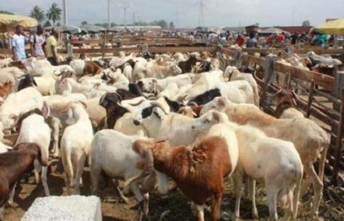 The parking lot of the Léopold Sédar Senghor stadium will not be used as a fair