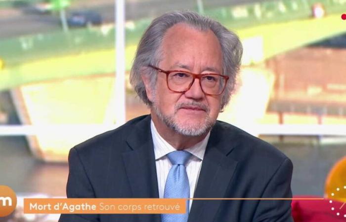 “It becomes difficult”: after the death of Agathe Hilairet, a medical examiner explains what will be complicated at this stage of the investigation