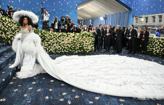 Diana Ross returns to the Met Gala for the first time in 22 years