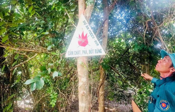 Proactively prevent forest fires during the dry season in the Hong Phong region