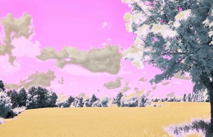 7 books to imagine a bright future