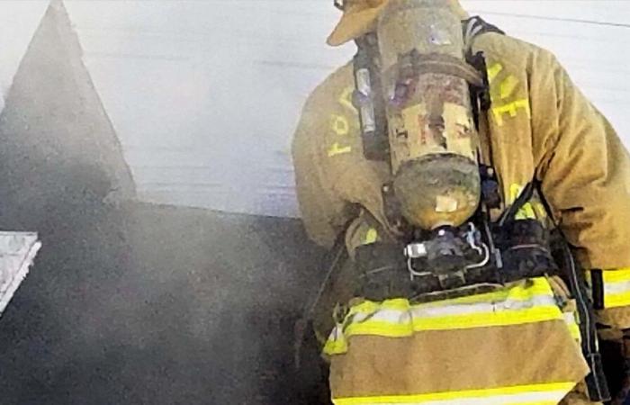 A farm in Saint-Donat loses almost half of its livestock in a fire
