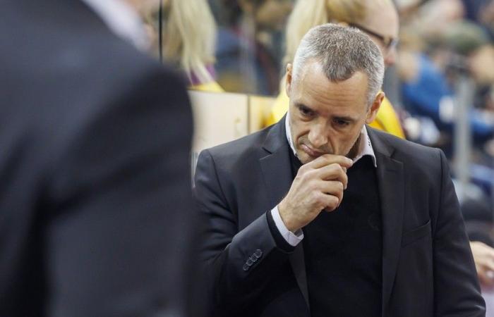 Bayer and Fischer coaches boost Swiss hockey