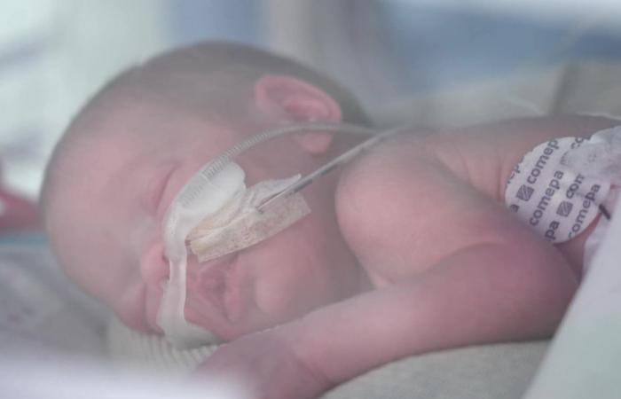 vital “white gold” for premature babies
