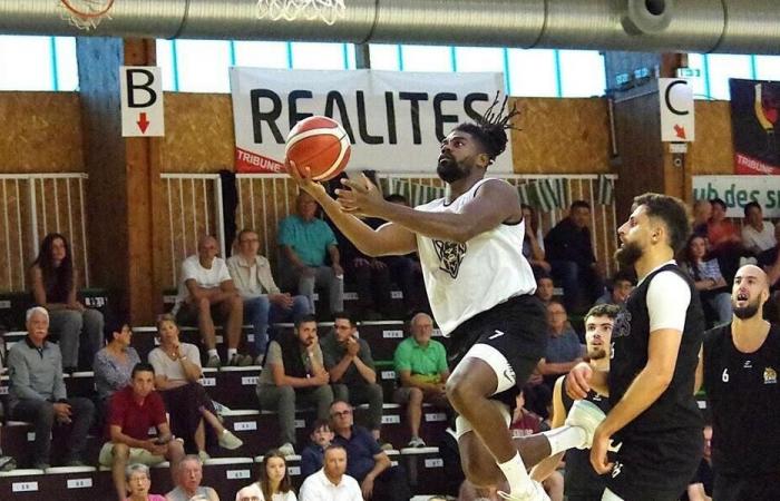Basketball. N1M: Alexis Racine is still thirsty for victory with Aurora Vitré. Sport