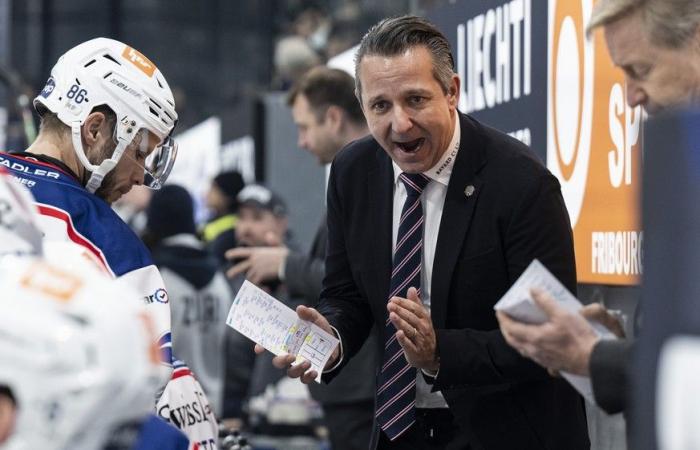 Bayer and Fischer coaches boost Swiss hockey