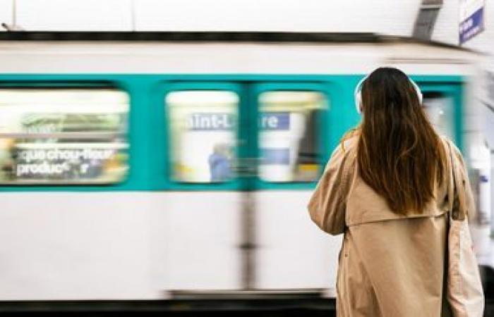 A traveler received a fine of 150 euros for carrying a green plant in the Paris metro, the RATP assumes