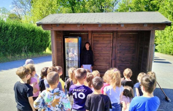 The amazing initiative of students of this small school in Lot-et-Garonne to promote reading