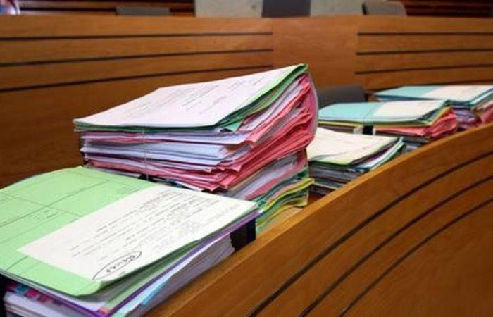 Domestic violence and illegal stay in France: a Russian national in the face of justice
