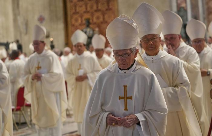 What are the priorities of the cardinals present at the conclave?