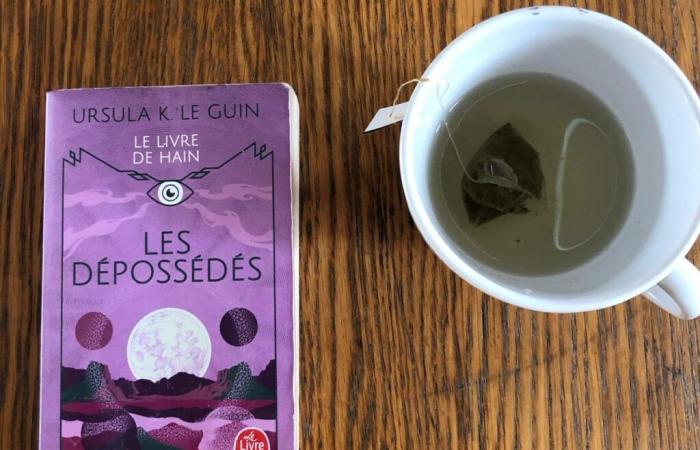 7 books to imagine a bright future