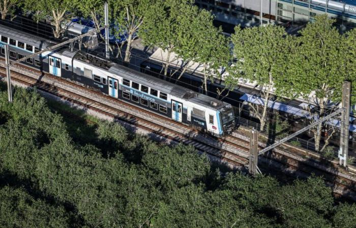 SNCF strike in Île-de-France: the RER B and C still disturbed, 2 trains out of 3 in circulation on the RER D