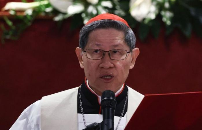 Who are the main cardinals expected to succeed François?