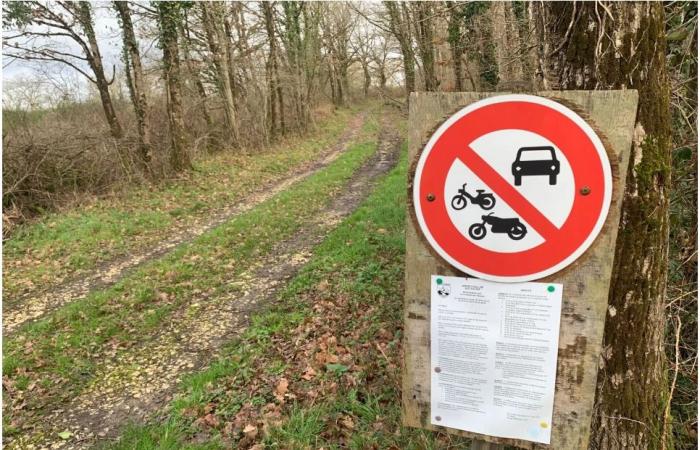 All-terrain traffic: alert on regional natural parks